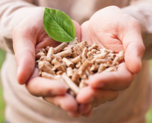 Pellets para aquecimento: O que são e como são feitos?