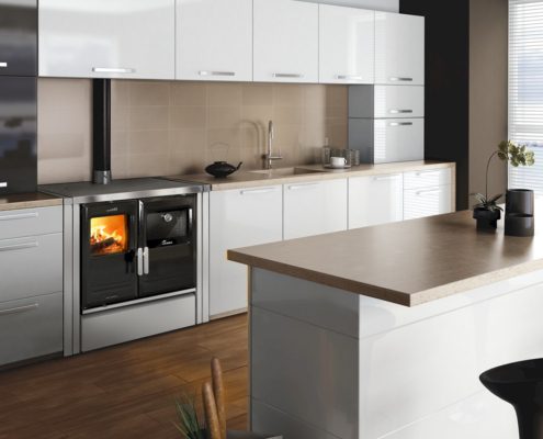 Fogões a Lenha: Aquecer e Cozinhar